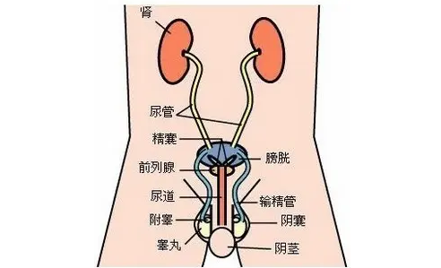 QQ截图20220319092302.png